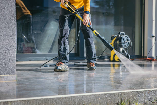 Best House Pressure Washing  in Eslon, CA