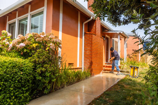Best Concrete Pressure Washing  in Eslon, CA