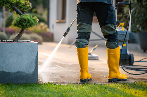 Local Pressure Washing Services in Escalon, CA