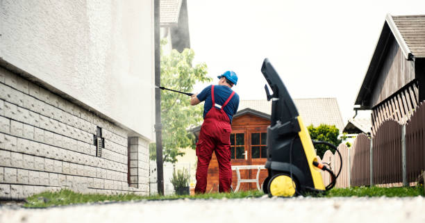 Best Roof Pressure Washing  in Eslon, CA